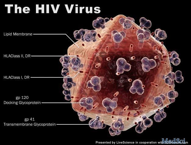 HIV<font color="red">病毒</font><font color="red">抑制剂</font>PRO 140的最新研究
