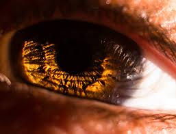 Prog Retin Eye Res：<font color="red">NAD</font> +和sirtuins在视网膜退行性疾病中的作用