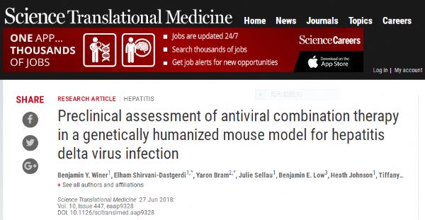 Sci Transl Med：新型近交小鼠模型，开辟了丁肝治疗的新道路
