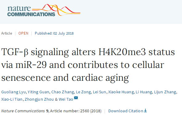 Nat Commun：北京大学陶伟课题组揭示表观遗传信号通路在细胞衰老和心脏老化中的关键作用