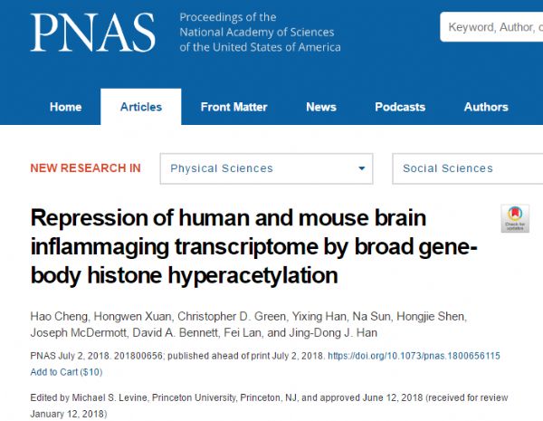 PNAS：研究揭示组蛋白乙酰化对<font color="red">大脑</font>炎性衰老相关基因抑制的新<font color="red">模式</font>