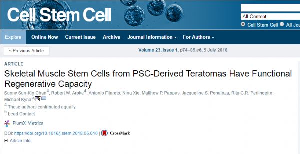 Cell Stem Cell：科学家利用<font color="red">畸胎瘤</font>成功衍生出肌肉干细胞