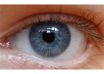 Graefes Arch Clin Exp Ophthalmol：在非感染性前后葡萄膜炎中研究浅表和深部视网膜中央凹无血管区差异