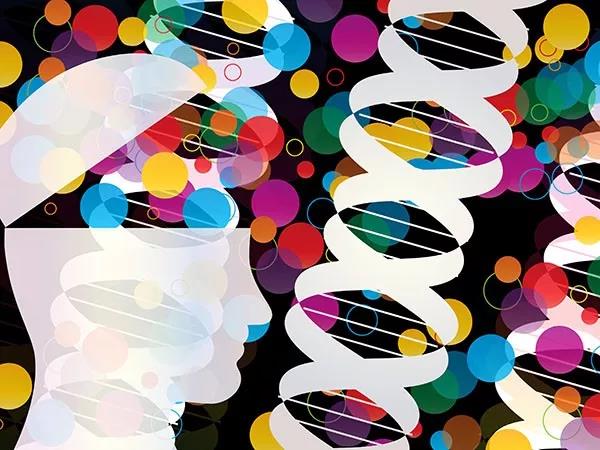 Mol Cell：解答CRISPR基因编辑疑惑：为何有时无效？