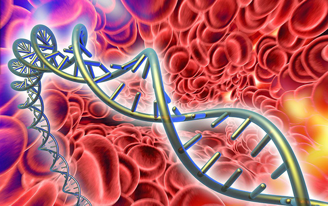Nat Commun：大<font color="red">数据</font>分析确定新的癌症风险基因