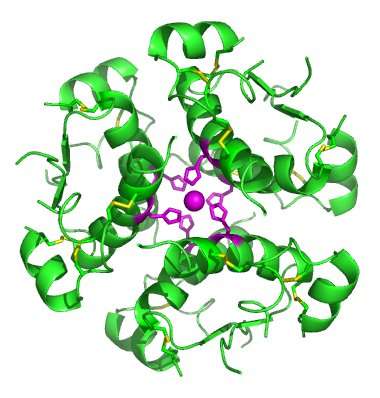 J Hepatol：外源异生物质被鉴定为原发性胆汁性胆管炎的潜在环境触发因素
