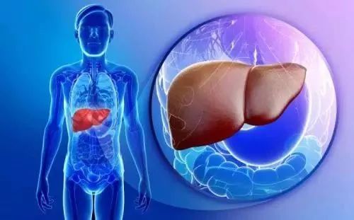 J Clin Gastroenterol：高脂血症和非酒精性脂肪性肝炎对无肝硬化的肝癌发展的促进作用