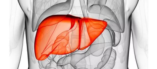 Clin Gastroenterol H：在肝移植候选者中，非酒精性脂肪性<font color="red">肝炎</font>是肝细胞癌病因中增长最快的