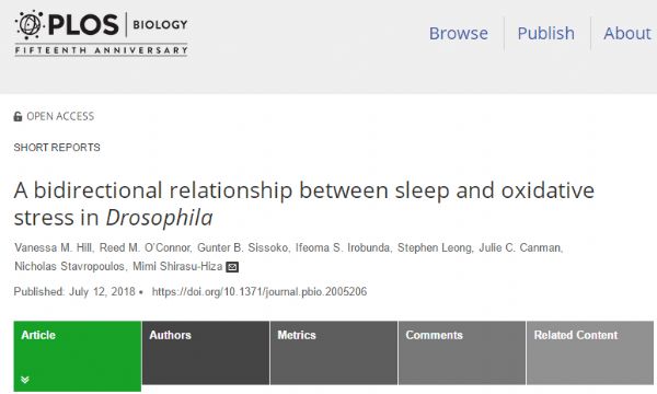 PLos Biol：睡眠的重要作用——抗氧化！