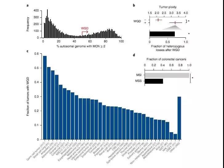 Nat Genet：近10000例前瞻性肿瘤<font color="red">靶向</font><font color="red">测序</font>，MSK-IMPACT揭示近30％的肿瘤存在全基因组倍增（WGD）