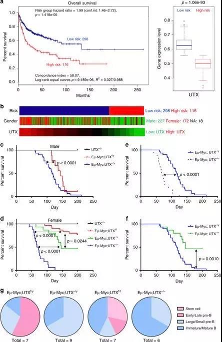Nat Commun：中科院<font color="red">研究</font>组揭示抑癌基因UTX与<font color="red">癌症</font>发病率的性别差异