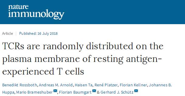 Nat <font color="red">Immunol</font>：T细胞如何“快速反应”？
