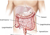 J Gastroen Hepatol：无<font color="red">症状</font>且肿瘤<font color="red">负担</font>较低的肠滤泡性淋巴瘤的治疗方法选择