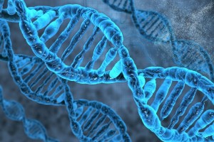 Nat Genet：新研究有望使2500万人获益！科学家建立数百万人基因库！