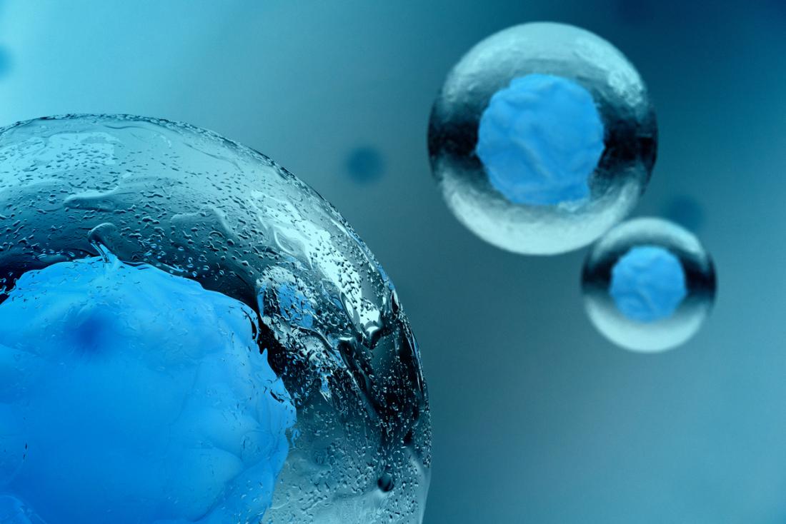 干细胞治疗技术的发展与临床应用