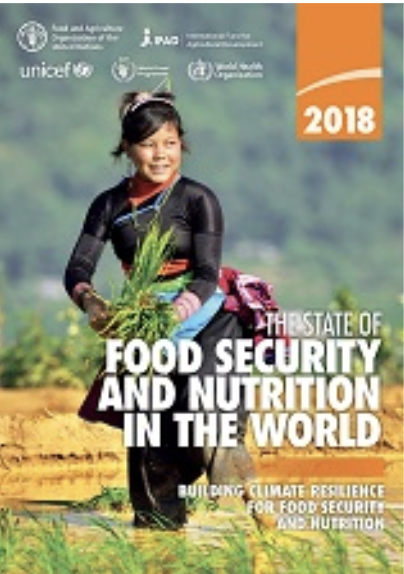 联合国<font color="red">最新</font><font color="red">报告</font>称，全球饥饿人数继续上升