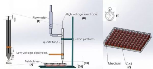 Plasma Processes and Polymers：中国科研人员提供<font color="red">乳腺癌</font><font color="red">治疗</font>新思路