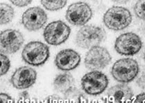 Nat Immunol：新研究让免疫细胞“火力全开”