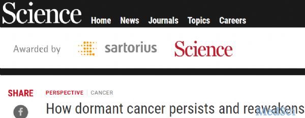 Science：炎症诱导癌症复发？唤醒休眠癌细胞的信号