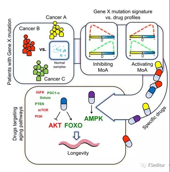 Cell Rep：科学家构建基于癌症基因组学的非组织特异标签的药物重定位新方法