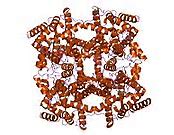 磷酸二酯酶4的新型抑制剂Brilacidin治疗自身免疫和炎症疾病的潜力