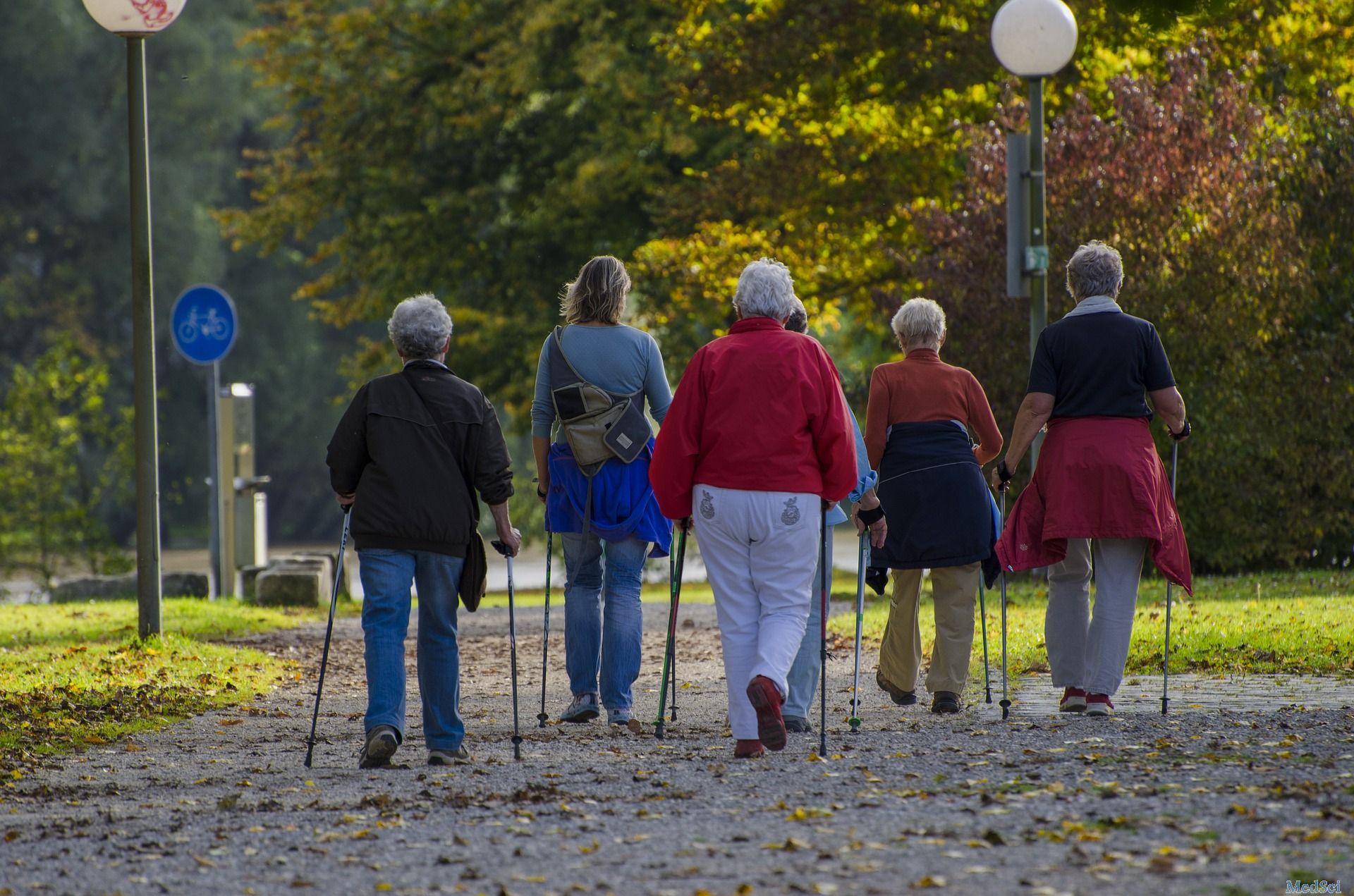 AGING CELL：老年人肌萎缩与体内平衡失调