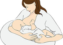 Nature Medicine：母乳或配方<font color="red">奶粉</font>喂养后，婴儿肠道微生物组的情况