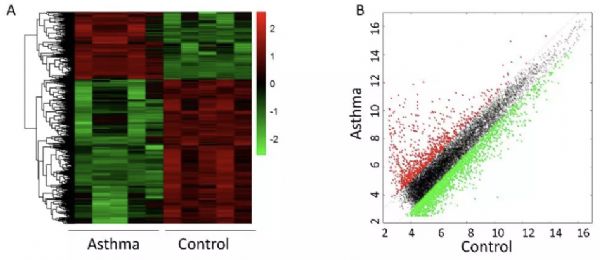 BBRC：<font color="red">支气管</font><font color="red">哮喘</font>患者外周血CD4+T 细胞中差异性表达的长链非编码RNA与肺功能等指标相关，有望成为新的生物标志物