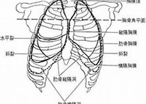 中国儿童<font color="red">胸膜</font>肺母细胞瘤诊疗建议