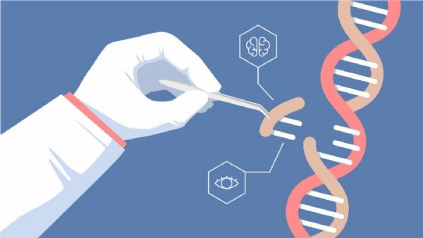 贺建奎首次公开回应基因编辑婴儿试验：我的大学完全不知情