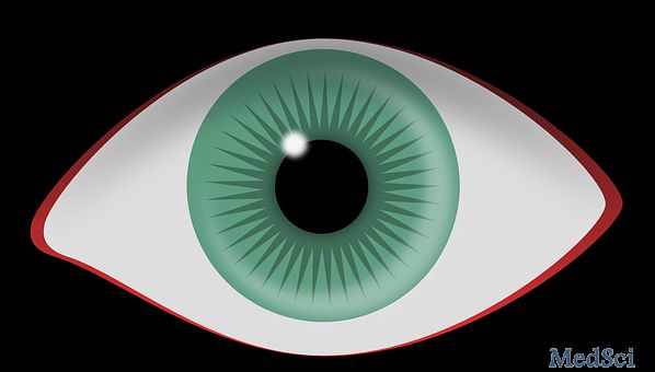 J Glaucoma：早期<font color="red">青光眼</font>患者的病毒感染反应研究