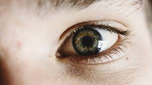 J Glaucoma：唐氏综合症患者的眼病发生发展