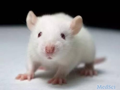 IBD： Syndecan-4可调节实验小鼠结肠炎中的上皮肠屏障功能和上皮再生
