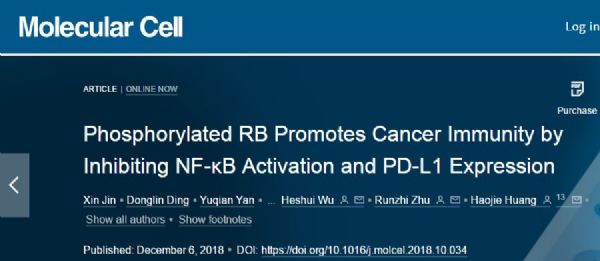Mol Cell：揭示明星分子RB在肿瘤中的新功能