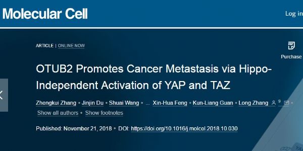 Mol Cell：OTUB2独立于Hippo-信号直接激活YAP/TAZ并促进肿瘤转移的机制