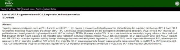EMBO J：VGLL4缺失抑制<font color="red">PD</font>-L1的表达并参与抗肿瘤免疫调控的作用机制