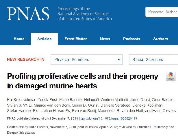 PNAS：令人失望的结论：成人心脏中没有干细胞