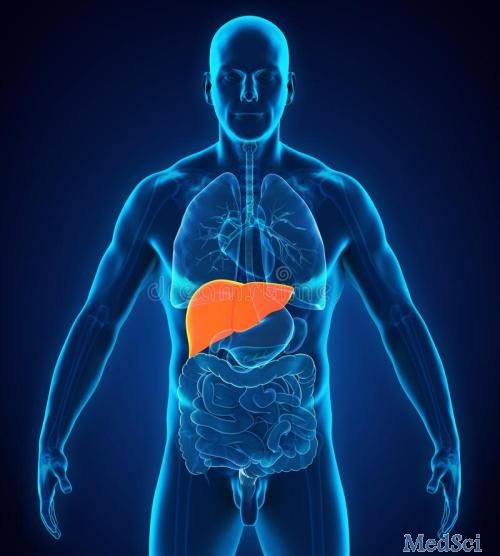 AP&T： 丙型肝炎病毒患者接受抗病毒治疗对肝硬化患者肠道微生物群的影响