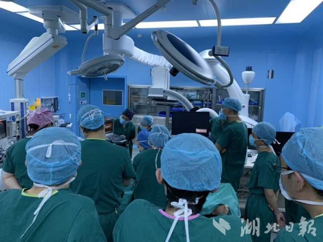 武汉6个学科20多位专家抢救河南孕妇，情急用"放血疗法"