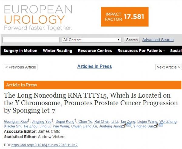 Eur Urol：<font color="red">Y</font>染色体上LncRNA对前列腺癌的促进作用机制获进展