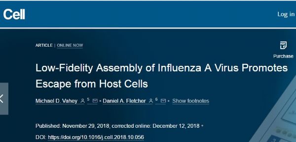 Cell：揭示流感病毒如何成功地从宿主细胞中逃逸出来