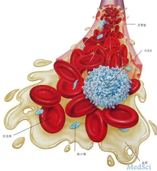 J Hepatology：人类白细胞抗原（<font color="red">HLA</font>）-A * 33：<font color="red">01</font>与特比萘芬造成的胆汁淤积存在强烈相关性