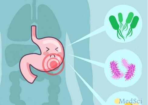 Gastroenterology：幽门螺杆菌中的蛋白质相关的血清学反应与结直肠癌风险相关
