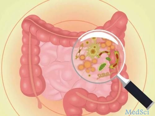 J Gastroenterology： 肠道微生物群失调导致患者和小鼠急性胰腺炎的严重程度恶化