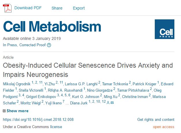Cell Metab：清除大脑中的“僵尸”细胞或有望让肥胖人群变得不再焦虑