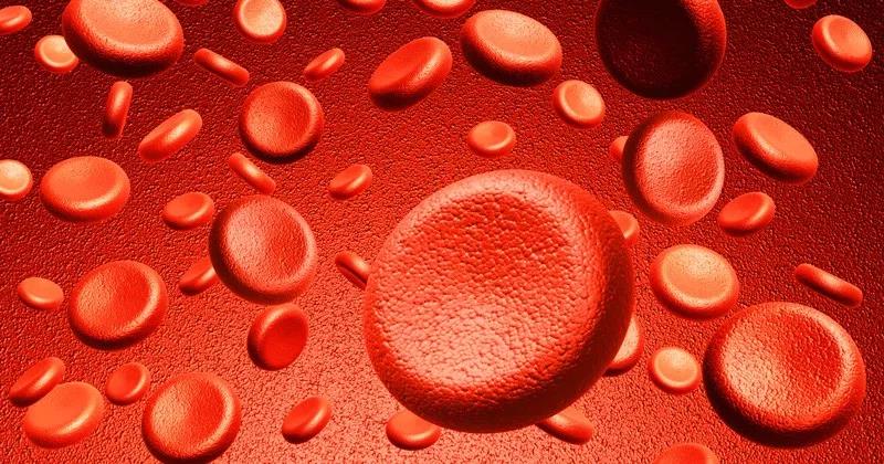 Sci Adv：<font color="red">基因</font>治疗人类血液疾病最新进展