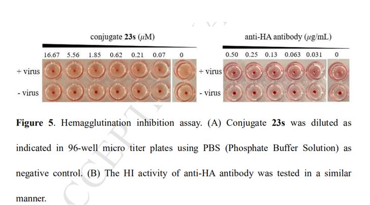 Eur J Med Chem:<font color="red">新颖</font>多酚五环三萜轭合物的的设计合成和抗流感病毒活性研究