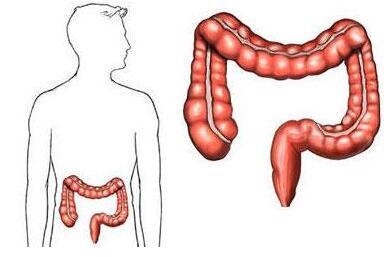 Clin Gastroenterology H：无症状青年结直肠肿瘤的患病率和危险因素分析