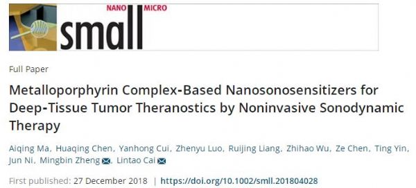 Small：深圳先进院在新型声敏剂超声治疗肿瘤方面取得新进展