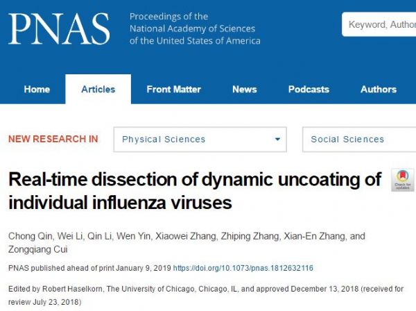 PNAS：揭示流感病毒动态脱壳机制